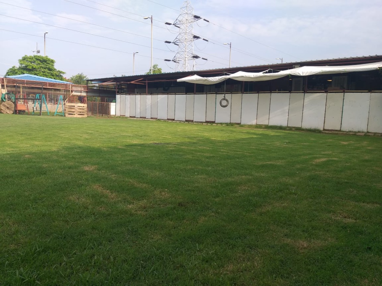 Dog Park - Professional service photo 6